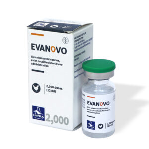 GOOVAC® GCTVV