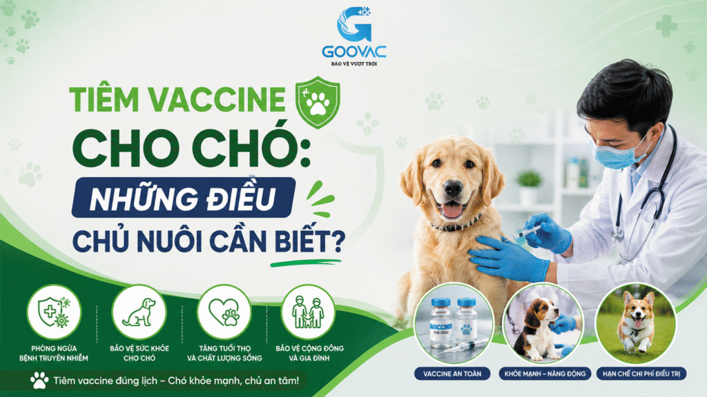 Tiêm vaccine cho chó: Những điều chủ nuôi cần biết?