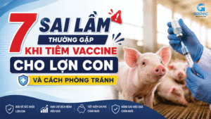 7 sai lầm thường gặp khi tiêm vaccine cho lợn