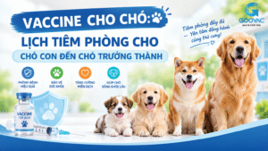 Vaccine cho chó: Lịch tiêm phòng cho chó con đến chó trưởng thành