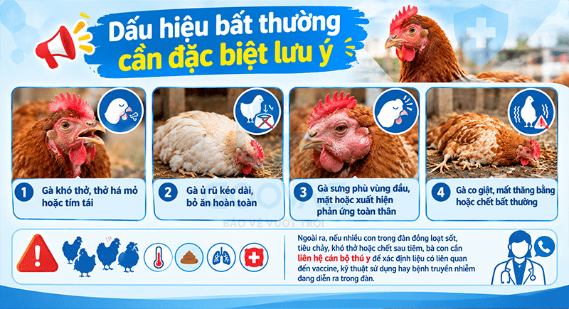 Dấu hiệu bất thường cần đặc biệt lưu ý